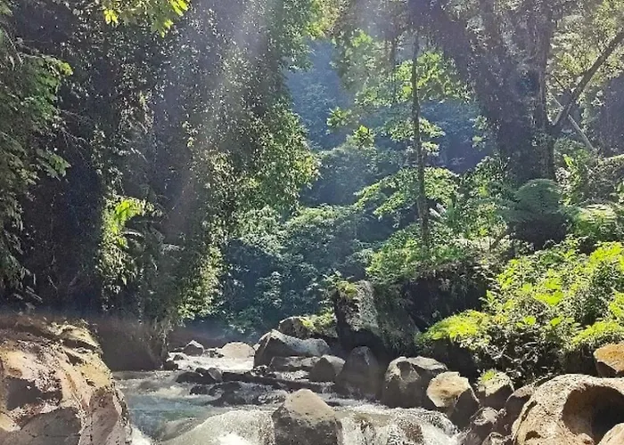 Luxury In Tranquil Jungle * Ubud
