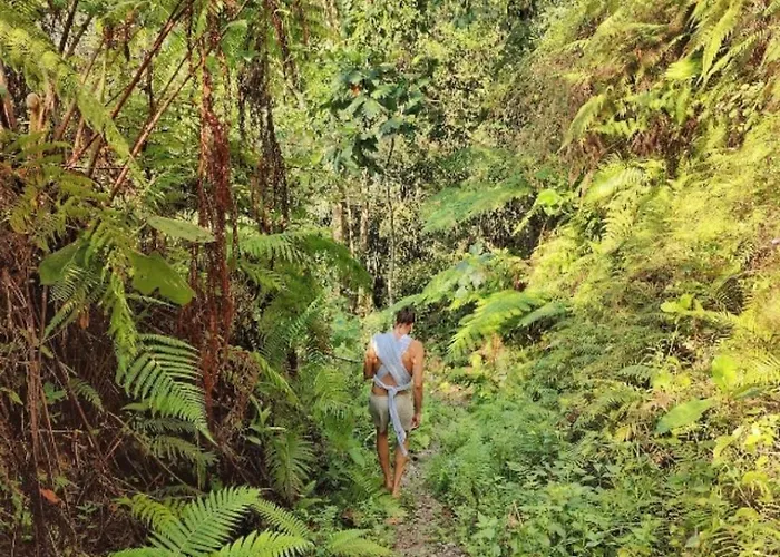 Appartamento Luxury In Tranquil Jungle Ubud