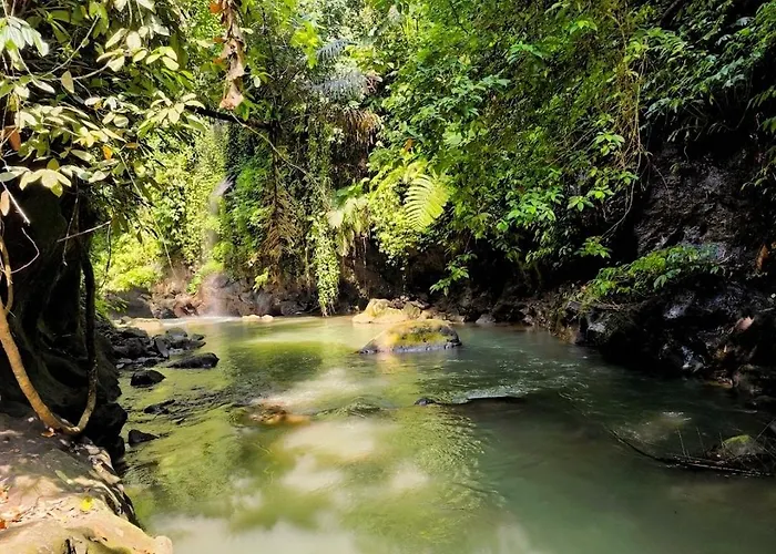 Luxury In Tranquil Jungle Appartamento Ubud