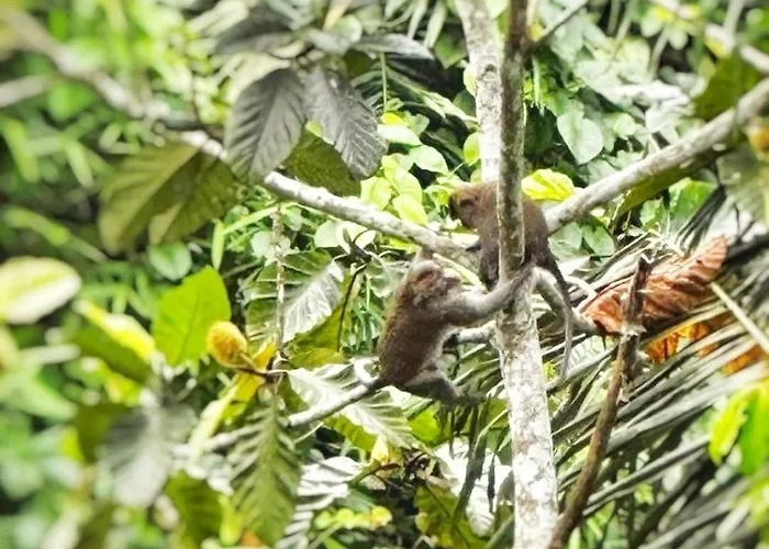Luxury In Tranquil Jungle Appartamento Ubud